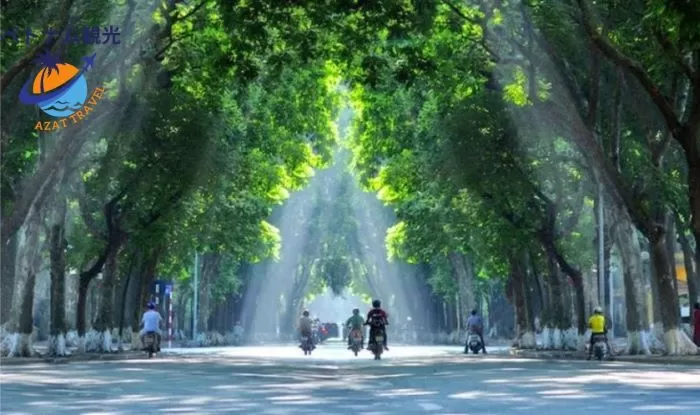 ハノイ市内観光1日モデルコース｜日本語ガイド付きで巡るホーチミン廟見学と旧市街観光